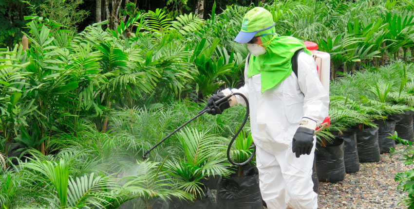Fertilización y control de plagas de especies vegetale