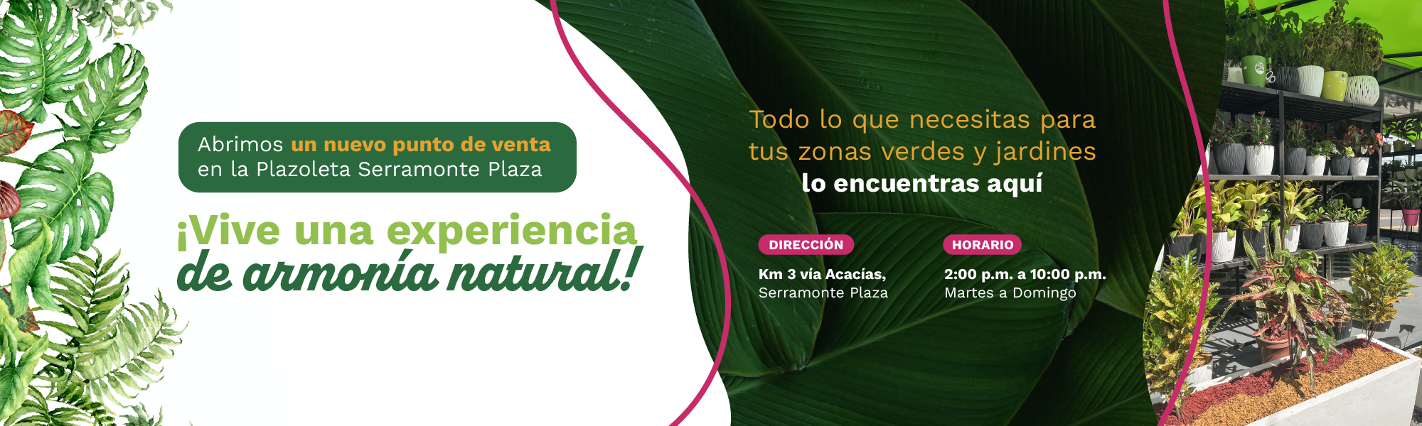 armonia_natural