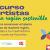 Concurso de artistas Por una región sostenible 